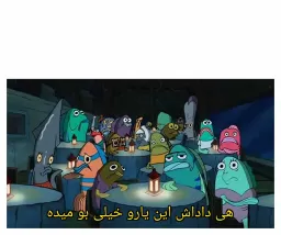 Bikini people's opinion about personal