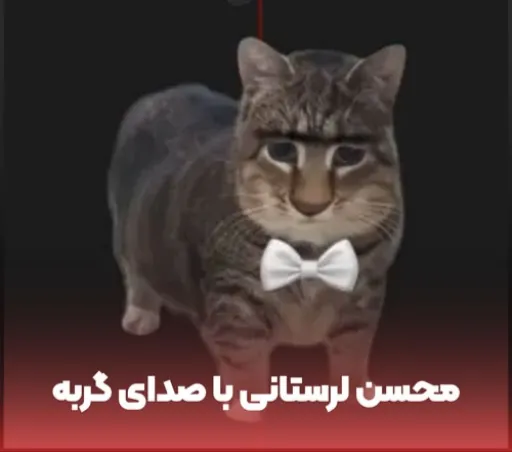 mohsen lorestani cat version remix