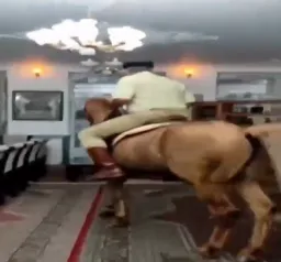 مرد درحال اسب سواری در خانه