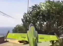 رقص هواپیما با درخت