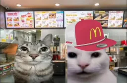 لطفا چهارتا چیز برگر پنج تا سیب زمینی پنیری و سه تا هات داگ و یدونه پیاز حلقه ای و یدونه نوشابه زیرو بدید