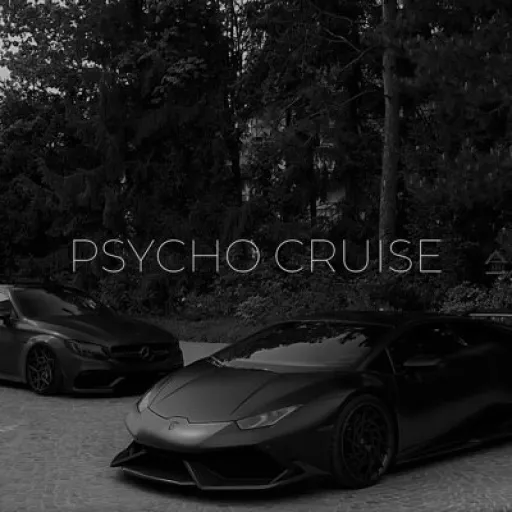PSYCHO CRUISE