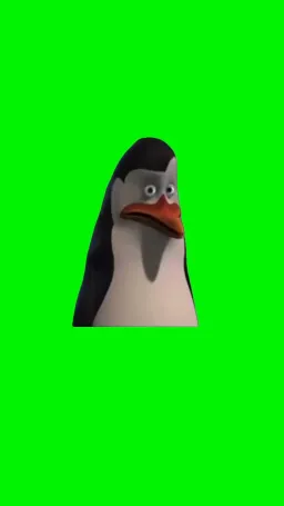 Madagascar Penguin Talking to Green Curtain