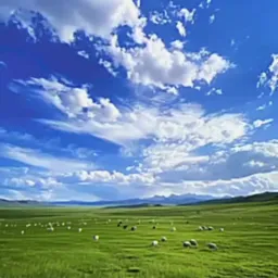 خواب و رویا