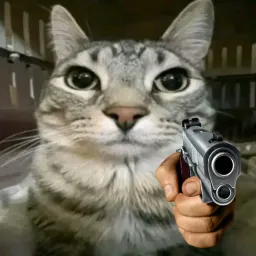 گربه با تفنگ در دست