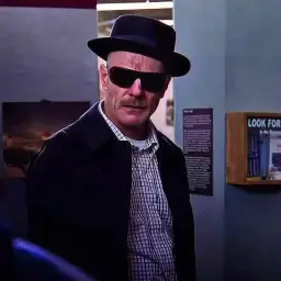 Walter White with hat and sunglasses