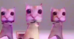 رقص گربه ها