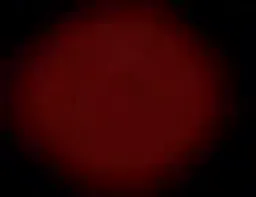 میمون در مغر جیمی نوترون