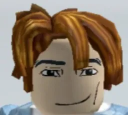 ‌Roblox character face