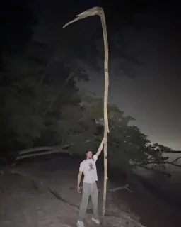 چوب بسیار بلند در دستان مرد