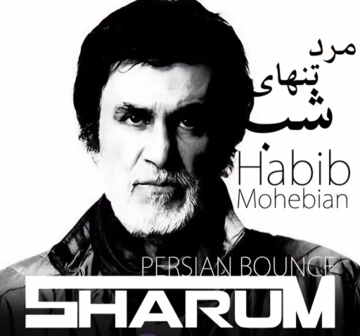 Habib - Marde Tanhaye Shab-(slowed+reveb)