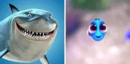 Comparison of a nemo and a shark