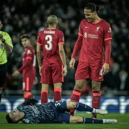 van dijk and martinelli