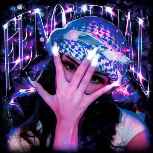 Fenomenal funk
