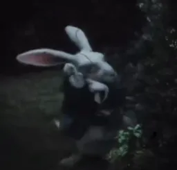 Rabbit showing clock