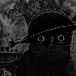 واکنش گربه ی جنگ زده و متعجب نسخه ی فیلم