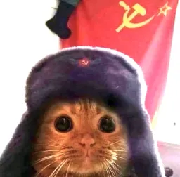 گربه کمونیست