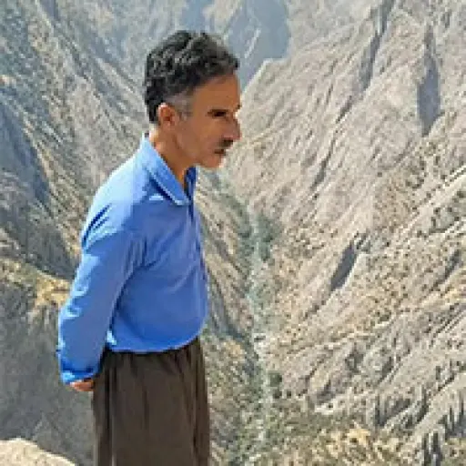 افکت صدای لی لی لی لی