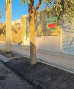 Tree in concrete and column in dirt