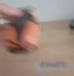 honest reaction car toys