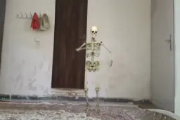 رقص اسکلت