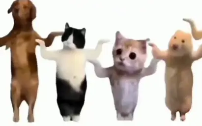 Animal Dance with Hindi Song