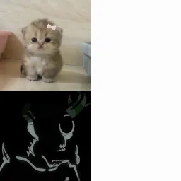 مقایسه هیولا با گربه ناز