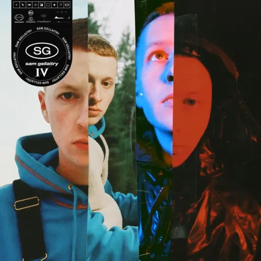 Assumptions - Sam Gellaitry