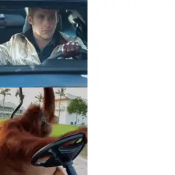 Ryan Gosling and Monkey Driver