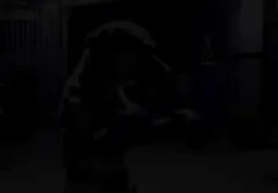 سگ بوکسور