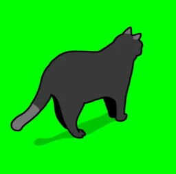 cat 4