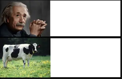 Albert Einstein and two -level cow