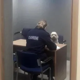 Police while interrogating the dog