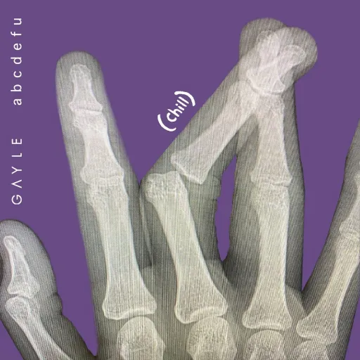 abcdefu-Gayle