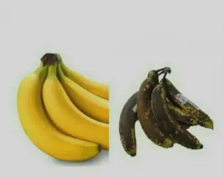 banana comparison