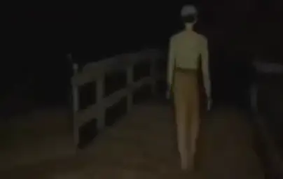 Walking the game character at night