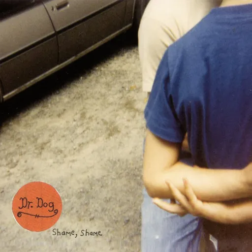 Dr.Dog - Where'd All the Time Go?