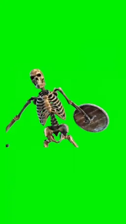 skeleton kick his shield with sword green curtain