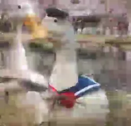 واکنش صادقانه اردک گنگ²