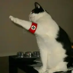 Nazi Cat