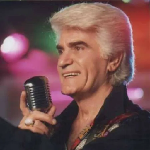 به خاطر تو-ویگن