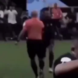 فرانسه برنگشت