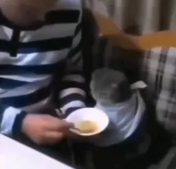 مرد در حال غذا دادن به گربه