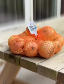 واکنش صادقانه پیاز