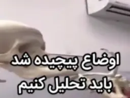 اوضاع پیچیده شد باید تحلیل کنیم