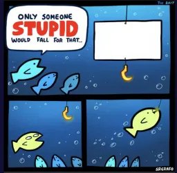 stupid fish