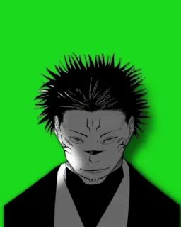 Sukuna green curtain
