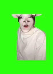 Cow Cat huh green screen