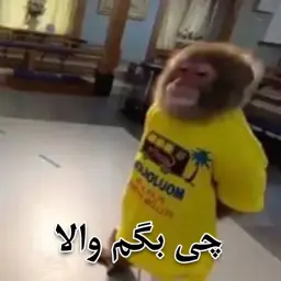 میمون افسرده