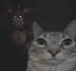 Poker Face cat and Freddy Behind it